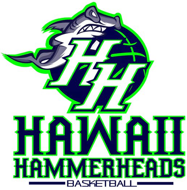 Hawaii Hammerheads 2016-Pres Alternate Logo iron on heat transfer